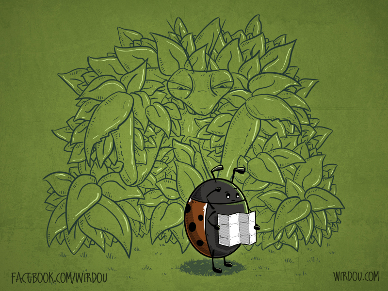 fun, funny, t-shirt, divertido, gracioso, camiseta, camouflage, camuflage, mantis, mantid, ladybird, mariquita, hunter, cazador, nature, naturaleza, science, ciencia