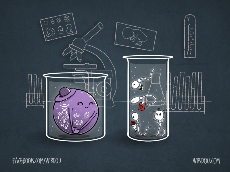 science, fun, funny, curious, desig, drawing, illustration, scientist, chemistry, biology, cute, ciencia, reproduction, reproducción, científico, laboratorio, lab, sperm cells, espermatozoides