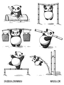 science, fun, funny, curious, desig, drawing, illustration, scientist, chemistry, biology, cute, panda, gracioso, divertido