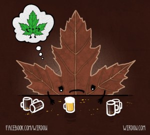 science, fun, funny, curious, desig, drawing, illustration, scientist, chemistry, biology, cute, ciencia, gracioso, divertido, científico, otoño, autumn, hoja, leaf