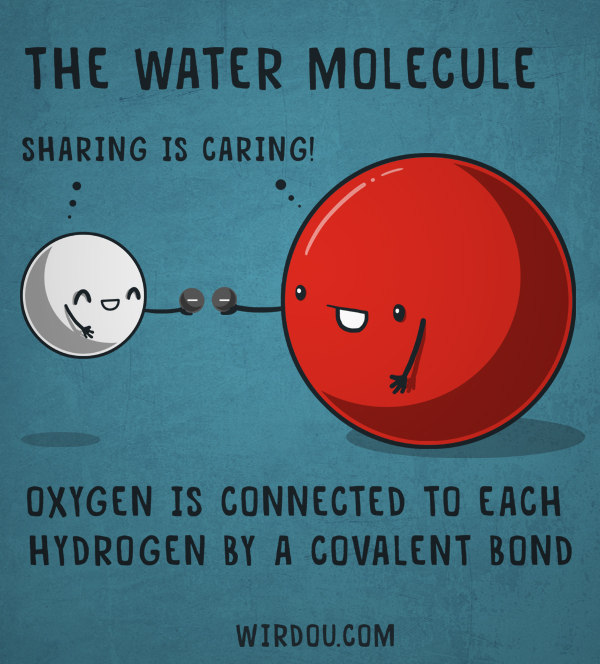 water covalent bond