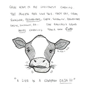 science, curious, curiosity, fun, funny, humor, cows, cud, regurgitate, eating