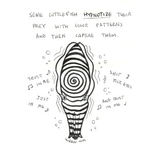 science, curious, curiosity, fun, funny, humor, cuttlefish, adaptation, hunt, camouflage, hypnosis