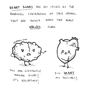 science, curious, curiosity, fun, funny, humor, brain, heart, sounds, valves