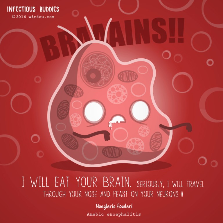 brain-eating-amoeba