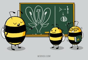 ciencia, humor, divertido, gracioso, science, fun, funny, abeja, polinización, bees, pollination, flor, planta, flower, plant