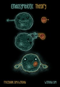 science, fun, funny, scientist, curiosity, curious, chemistry, biology, cute, design, illustration, drawing, dragon ball, cell, mitochondria