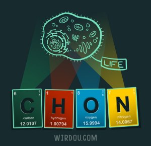 science, fun, funny, scientist, curiosity, curious, chemistry, biology, cute, design, illustration, drawing, life, evolution, vida, ciencia