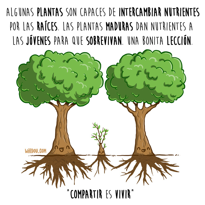 wirdou, ciencia, gracioso