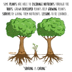 wirdou, science, fun