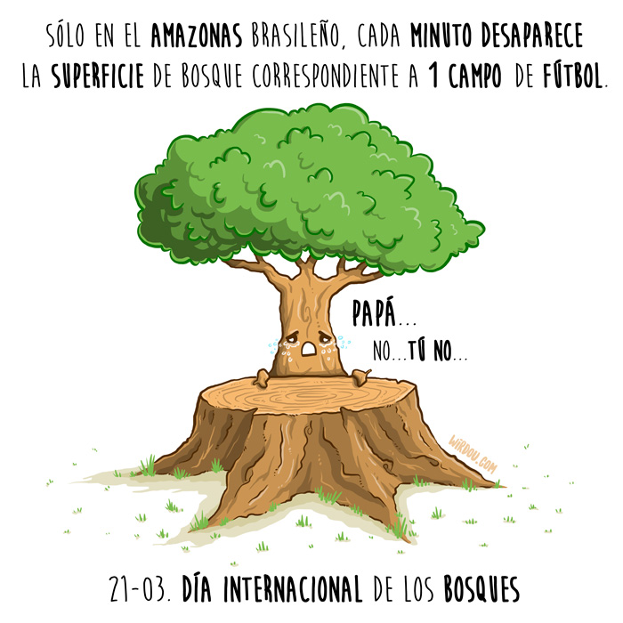 wirdou, ciencia, gracioso