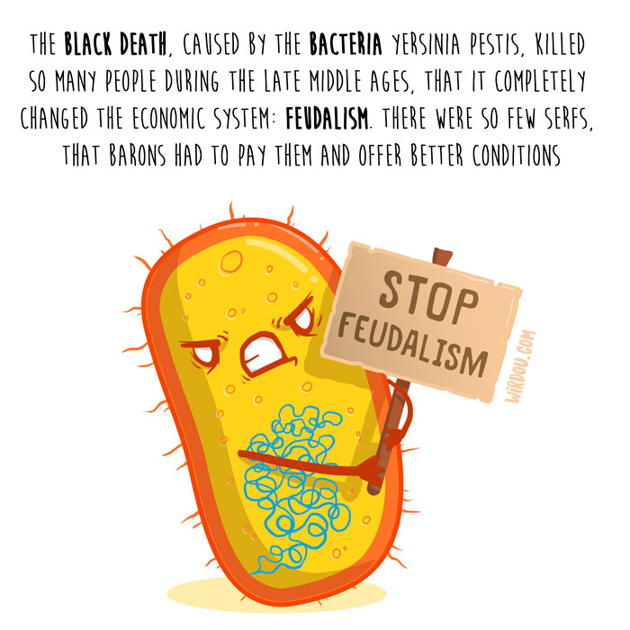 wirdou, science, fun