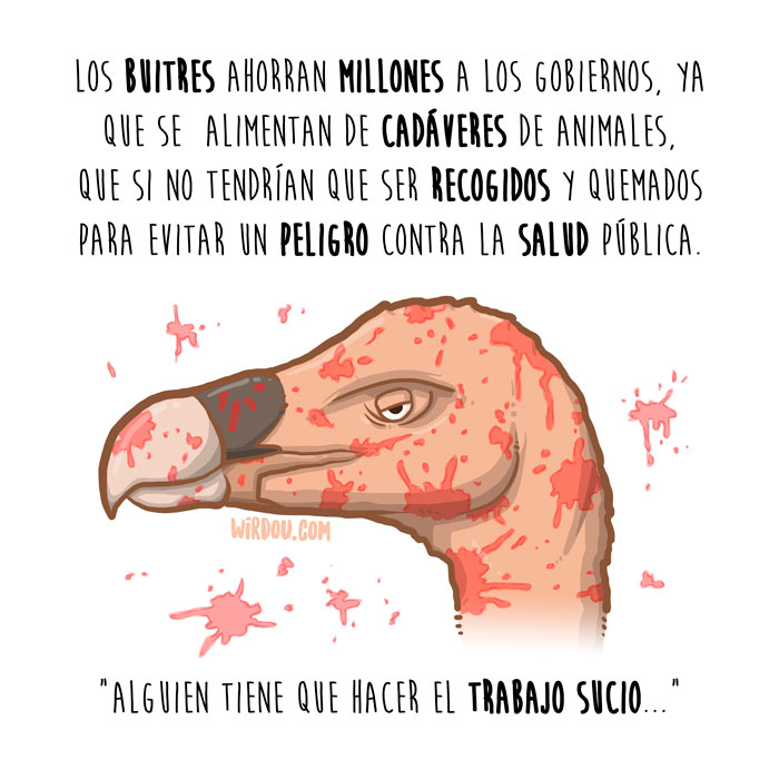 wirdou, ciencia, gracioso