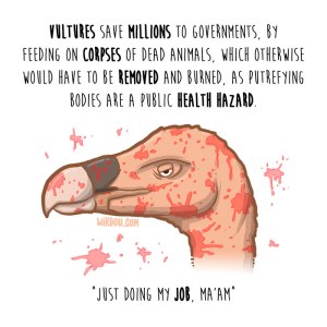 wirdou, science, fun