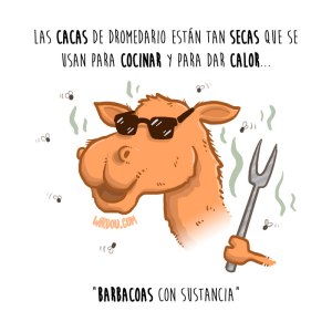 wirdou, ciencia, gracioso