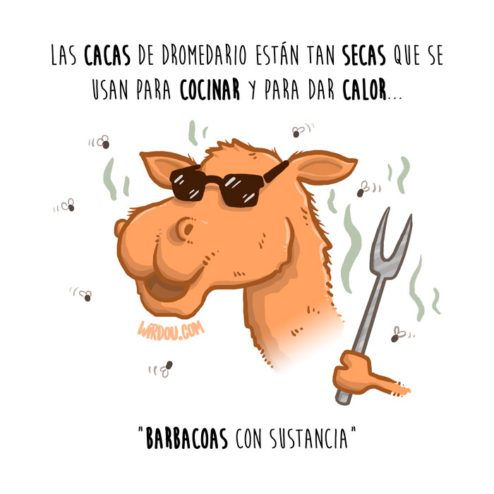 wirdou, ciencia, gracioso