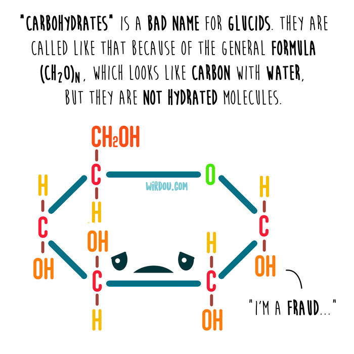 wirdou, science, fun