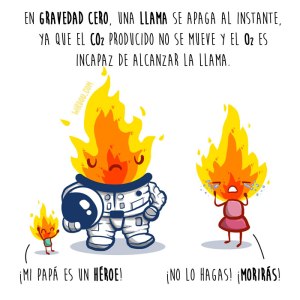 wirdou, ciencia, gracioso