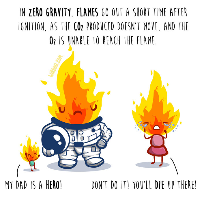 wirdou, science, fun