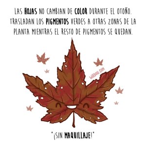 wirdou, ciencia, gracioso