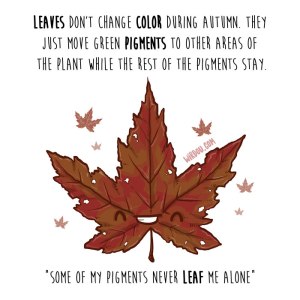 wirdou, science, fun