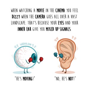 wirdou, science, fun