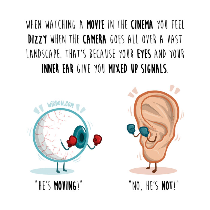 wirdou, science, fun