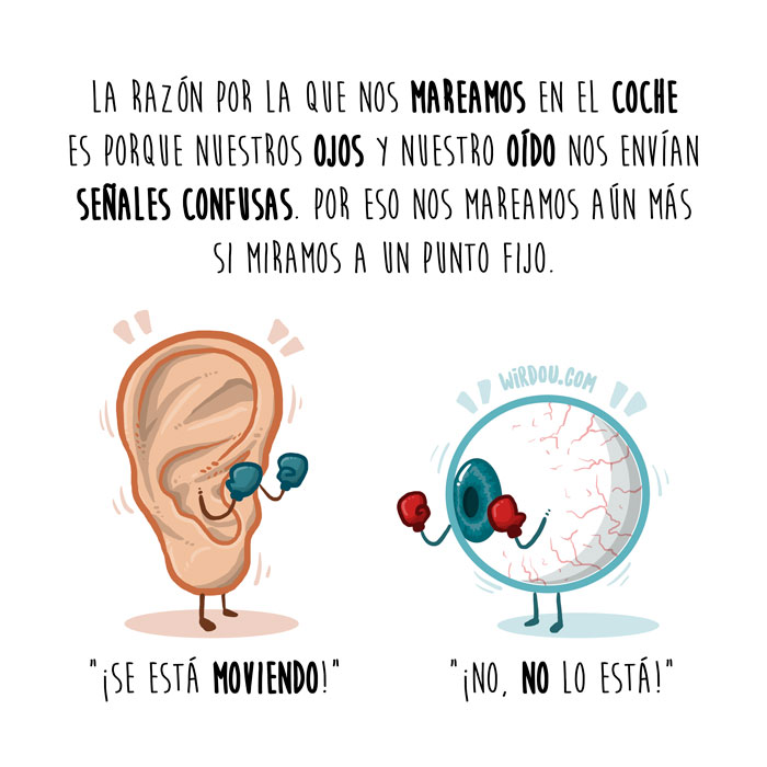 wirdou, ciencia, gracioso