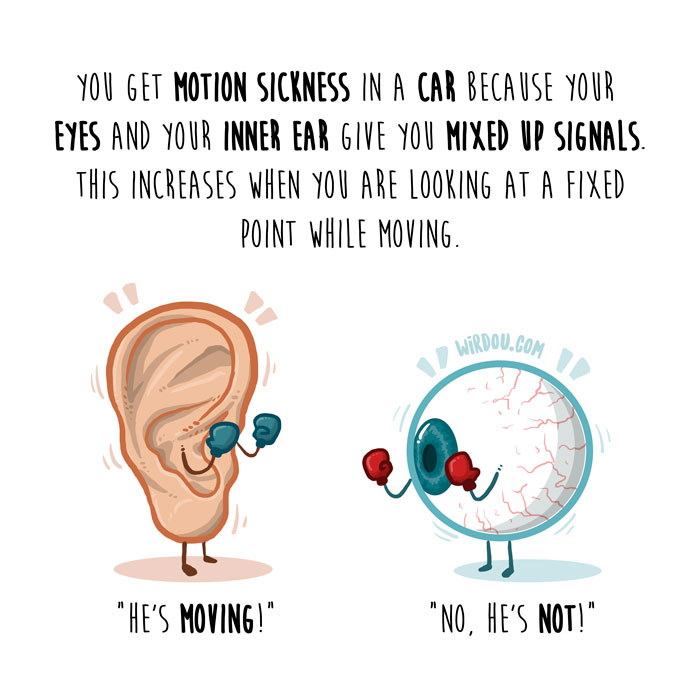 wirdou, fun, science