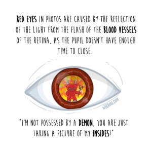 wirdou, science, fun