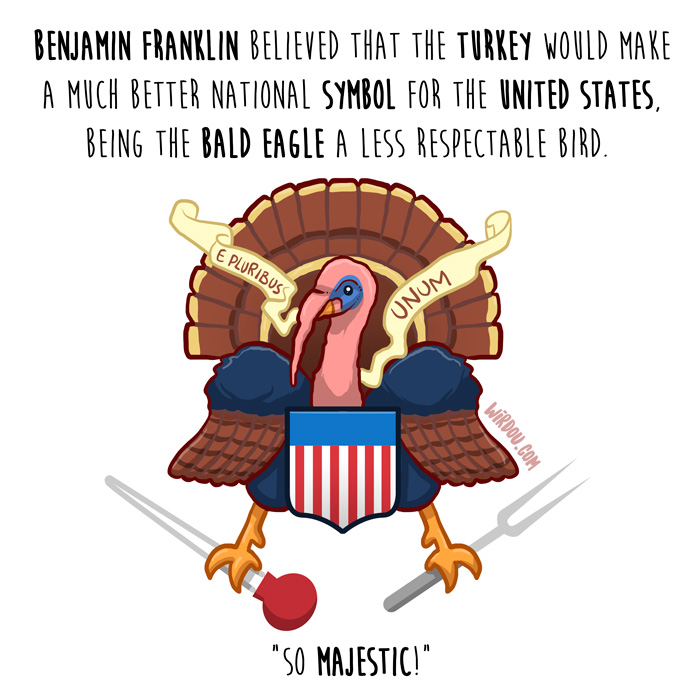 wirdou, science, fun