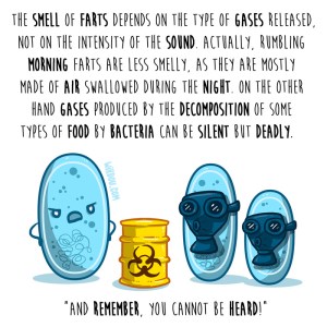 wirdou, science, fun