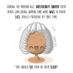 wirdou, science, fun