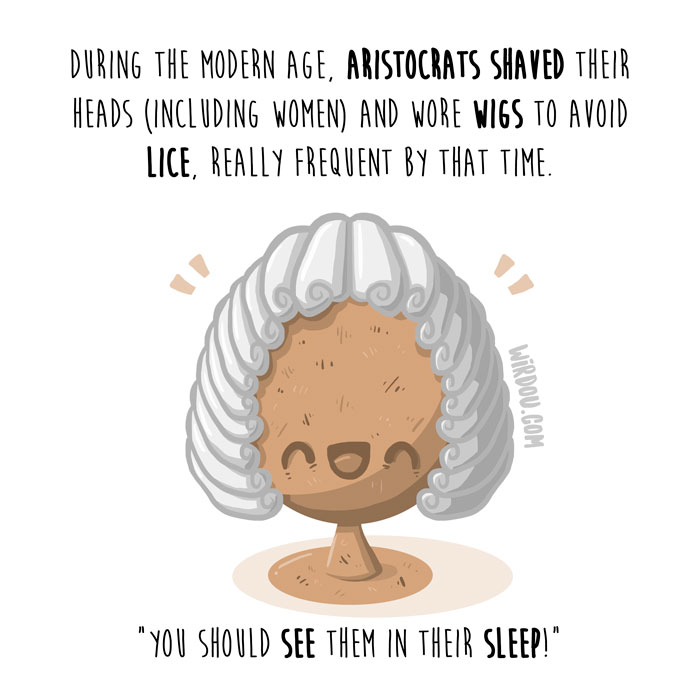 wirdou, science, fun