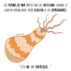 wirdou, ciencia, gracioso