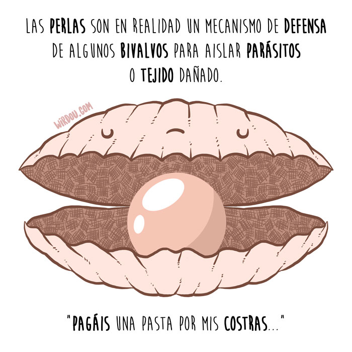 wirdou, ciencia, gracioso