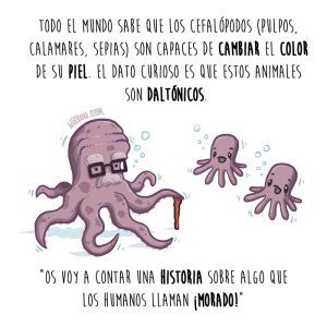 wirdou, ciencia, graciosa