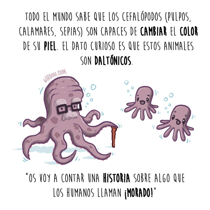 wirdou, ciencia, graciosa