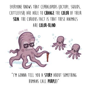 wirdou, science, fun