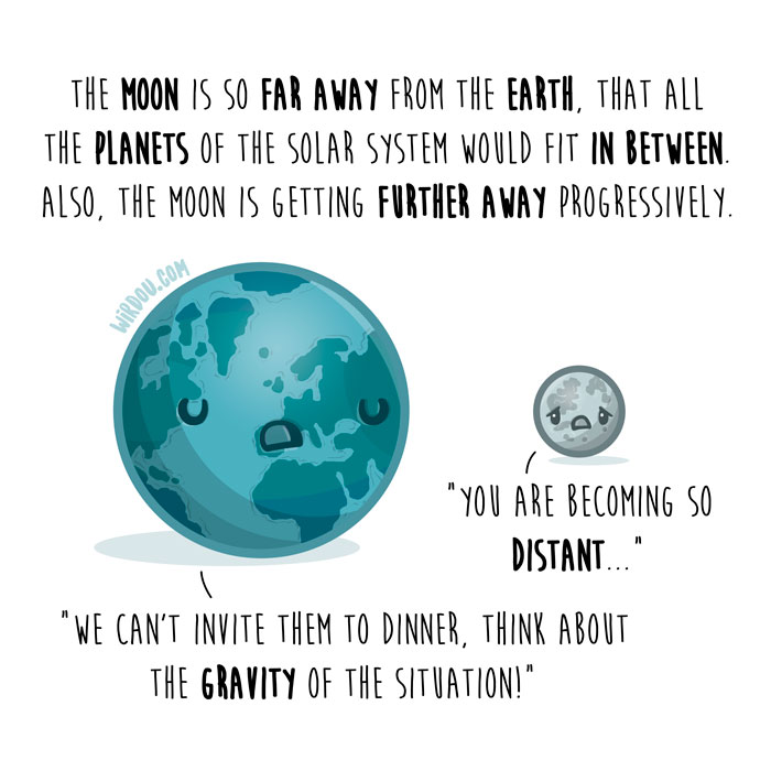 wirdou, science, fun