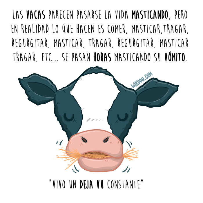 wirdou, ciencia, gracioso